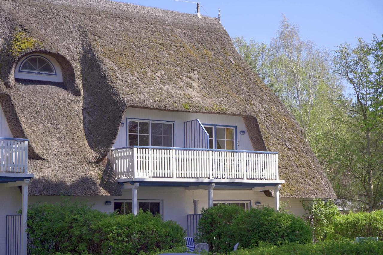 Achtern Diek 8A - Wohnung 5 Zingst Εξωτερικό φωτογραφία
